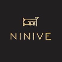 Kew Solutions worked with Ninive